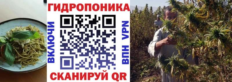 наркотики blacksprut ONION Печенье с ТГК марихуана Вельск