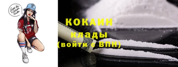 спайс Богданович