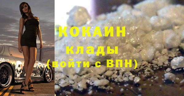 спайс Богданович