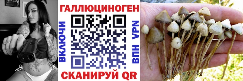 Галлюциногенные грибы мицелий  Вельск 
